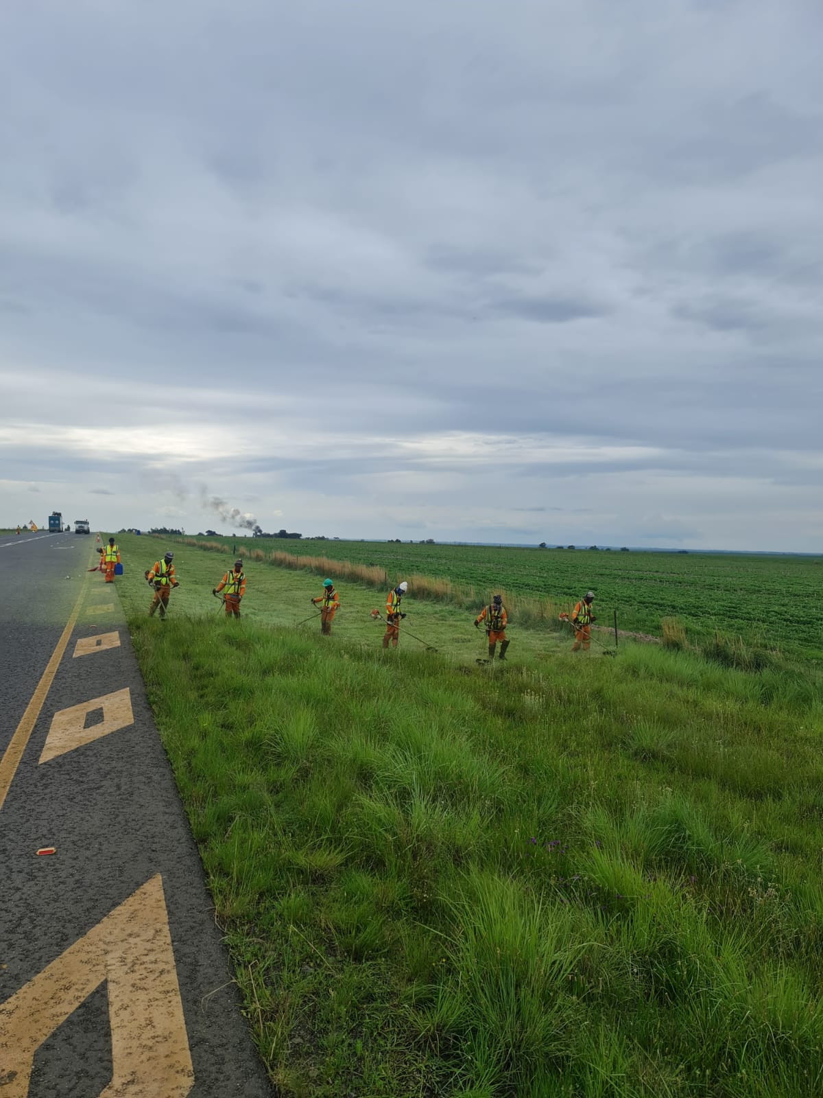 Highway Verge Cutting
